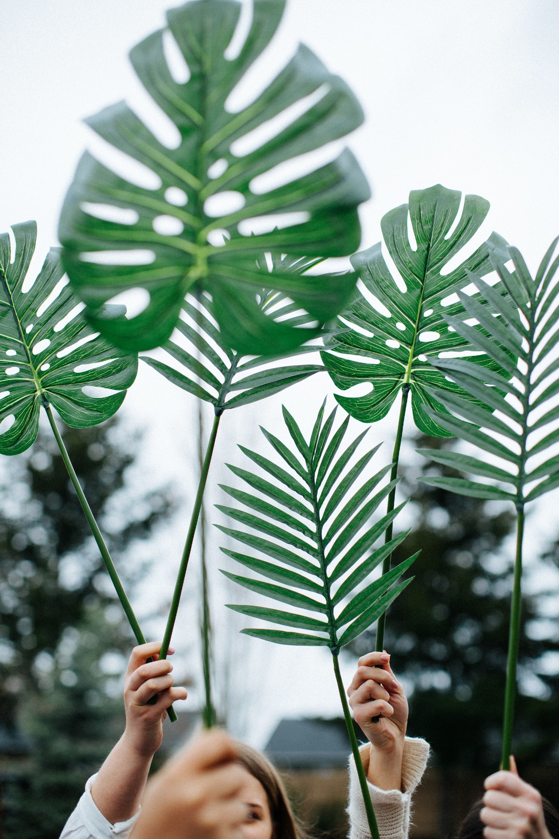 Palm Sunday