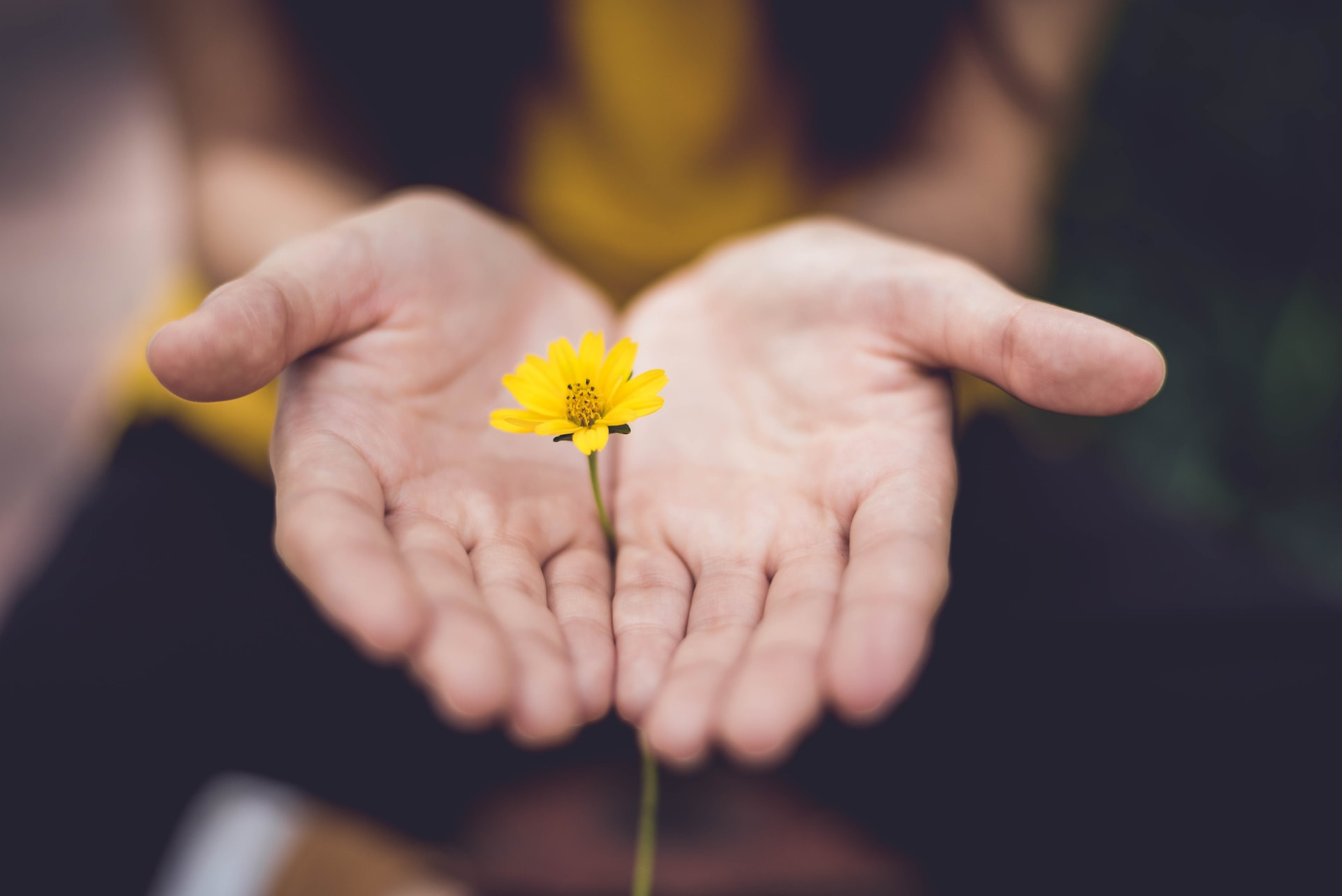 Flower Reading