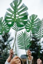 Palm Sunday